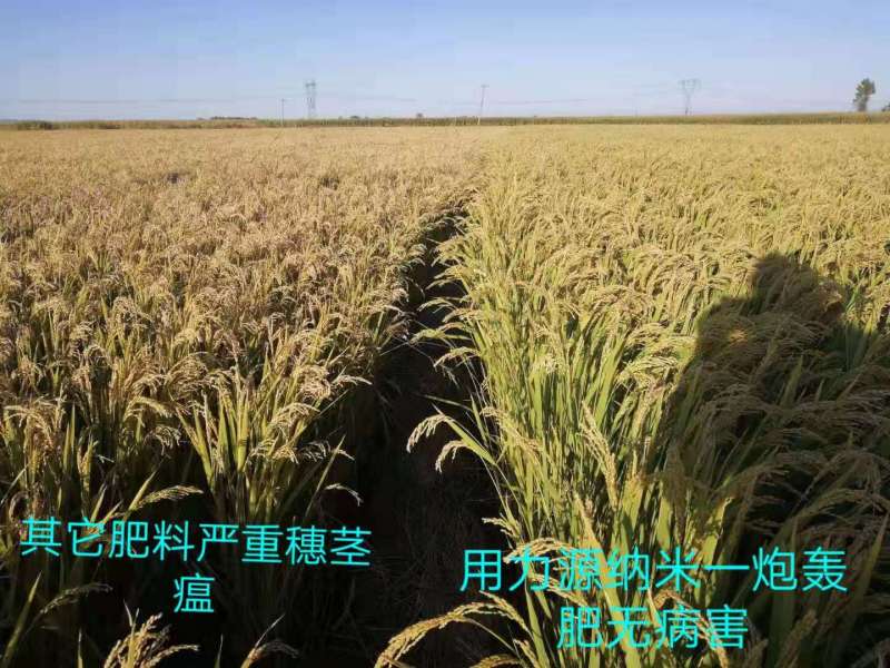 &#26131;&#28216;&#40;&#20013;&#22269;&#41;&#121;&#105;&#121;&#111;&#117;