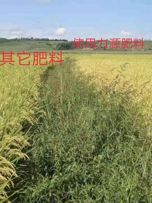&#26131;&#28216;&#40;&#20013;&#22269;&#41;&#121;&#105;&#121;&#111;&#117;