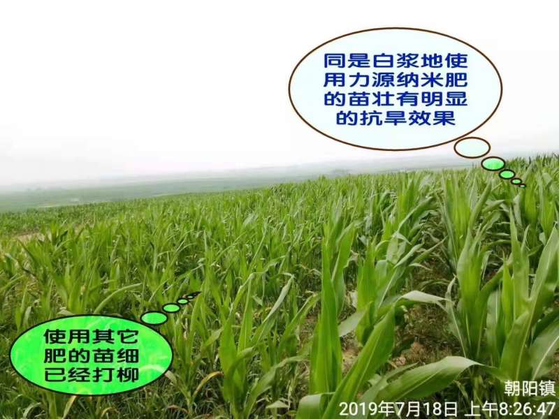 &#26131;&#28216;&#40;&#20013;&#22269;&#41;&#121;&#105;&#121;&#111;&#117;