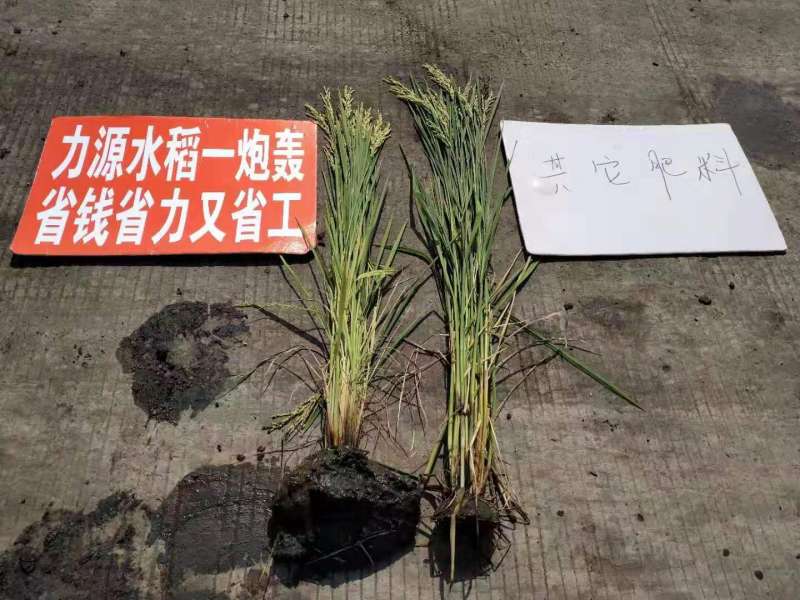 &#26131;&#28216;&#40;&#20013;&#22269;&#41;&#121;&#105;&#121;&#111;&#117;